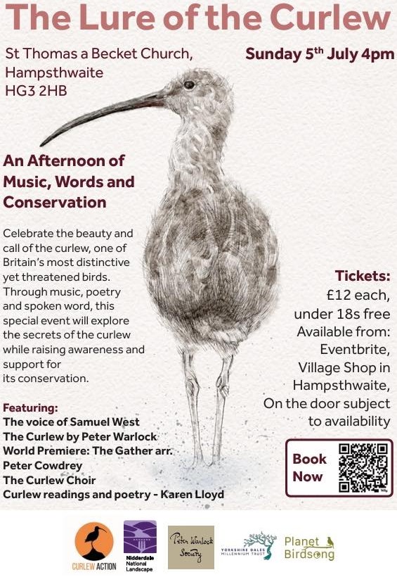 The Lure of the Curlew
